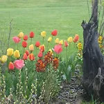 Bentazar Country house Elosu
