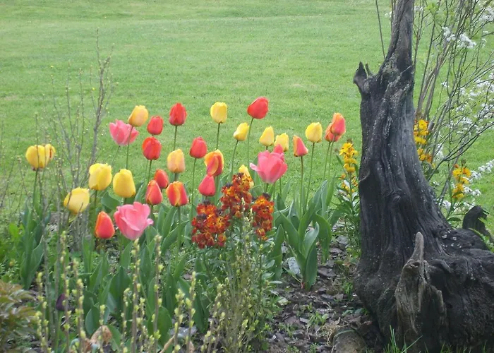 Bentazar Hétvégi ház Elosu